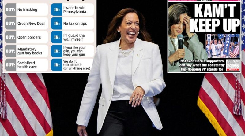 Even big Kamala Harris fans can't tell what the flip-flopping VP represents